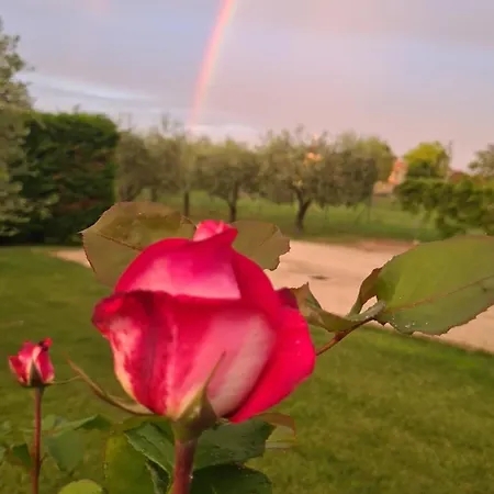 Bed and Breakfast In Gra&mary