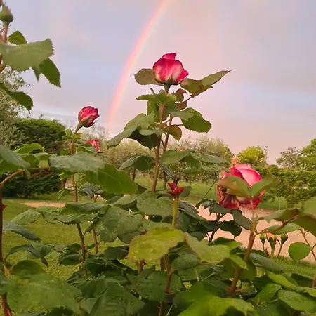 In Gra&mary Bed and Breakfast *