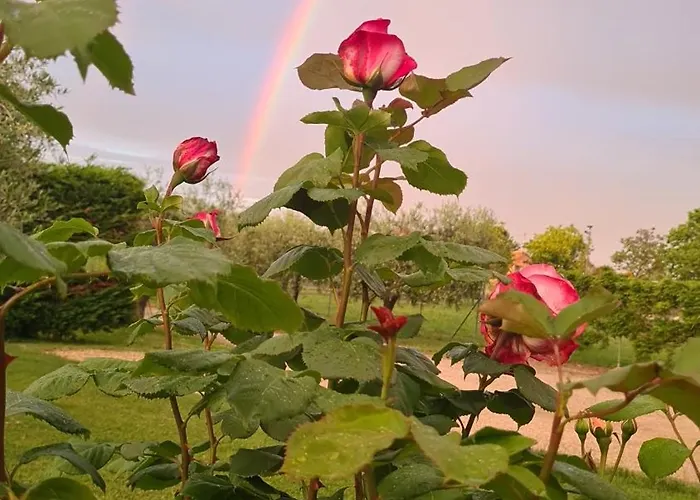 In Gra&mary Bed & Breakfast *